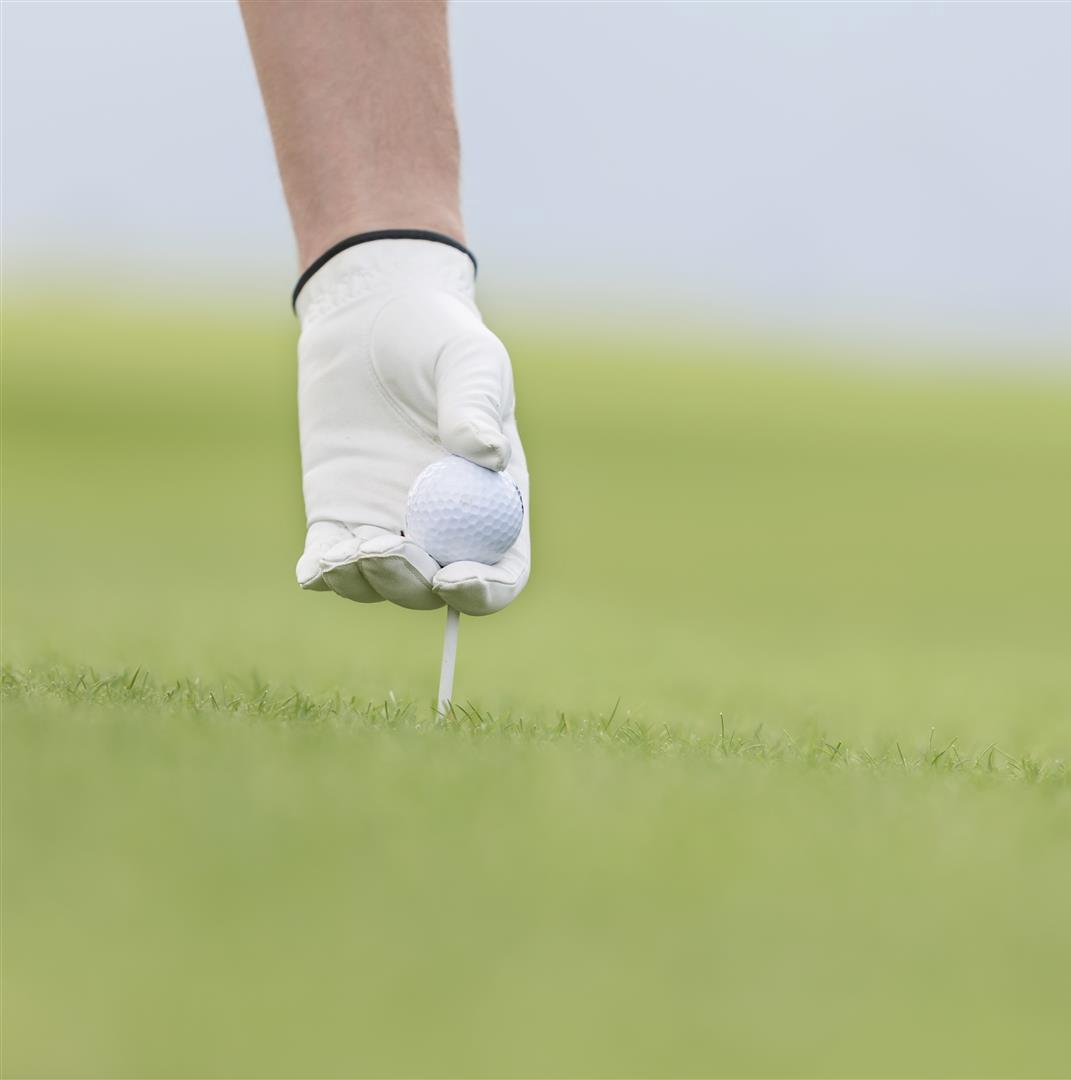Pole Golfowe Lisia Polana
