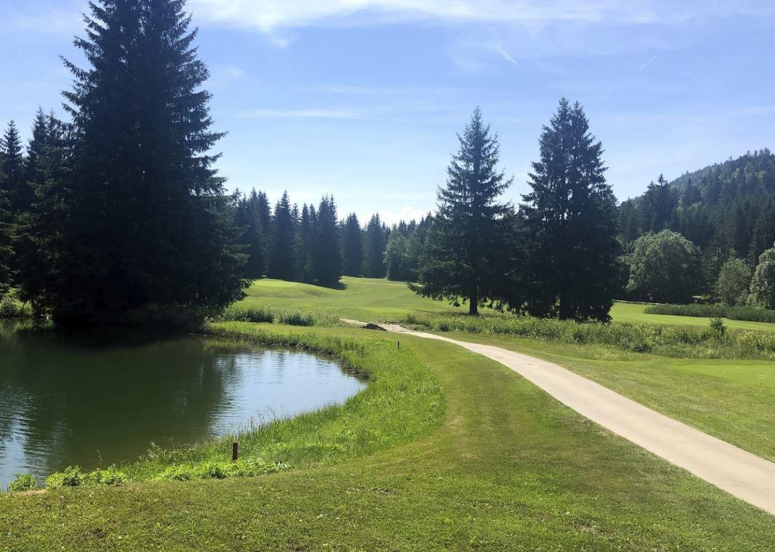 Golf Course Gray Bear Tale